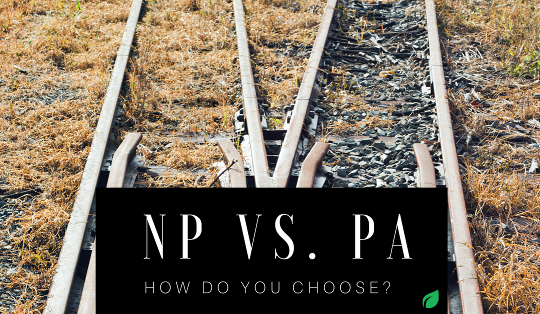 NP vs PA: How Do You Choose?